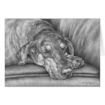 Sleeping Doberman Dog Drawing by Kelli Swan cards