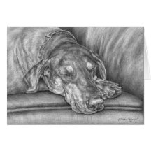 Sleeping Doberman Dog Drawing by Kelli Swan Cards