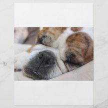 Sleeping Dog Flyers