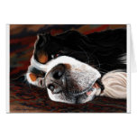 Sleeping Dogs Lie Card