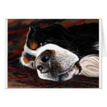 Sleeping Dogs Lie Card