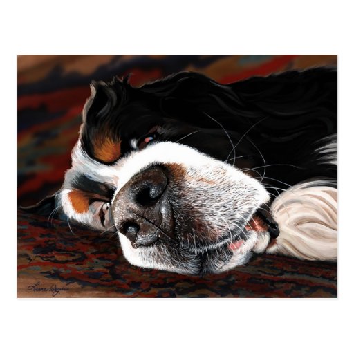 Sleeping Dogs Lie Post Card