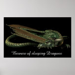 Sleeping Dragon posters