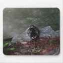 Sleeping Duck mousepads
