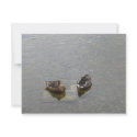 Sleeping Ducks invitations