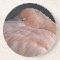 Sleeping Flamingo Coaster