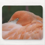 Sleeping flamingo mouse pads