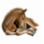 Sleeping Foal Holiday Ornament photo sculptures
