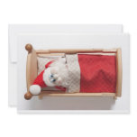 Sleeping gnome invitations
