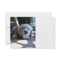 Sleeping Golden Retriever Puppy Personalized Invite