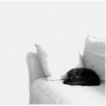 Sleeping Grey Cat on White Sofa