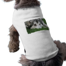 Sleeping Husky Pet Shirt