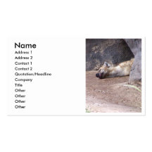 Sleeping Hyena head lying on clay ground picture Business Cards