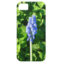 Sleeping in Clover iPhone 5 Covers