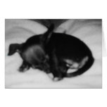 Sleeping Innocence cards