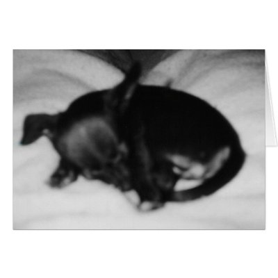 Sleeping Innocence Card by china_cat84