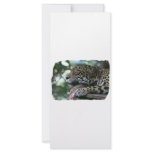 Sleeping jaguar with leafy background rack cards