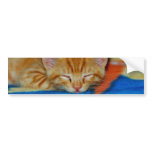 Sleeping Kitten Bumper Sticker bumper stickers