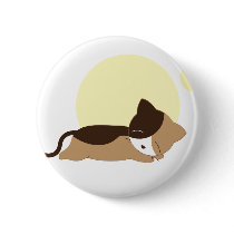 Sleeping Kitten