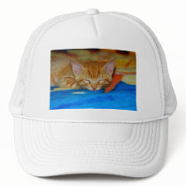 Sleeping Kitten Hat