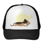 Sleeping Kitten Hat