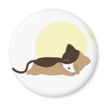 Sleeping Kitten magnets