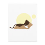 Sleeping Kitten postcards