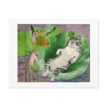 sleeping kitten postcard