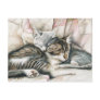 Sleeping Kittens Cat Art Postcard
