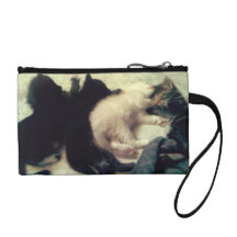 sleeping kittens change purses