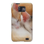 Sleeping Kittens Samsung Galaxy SII Cases