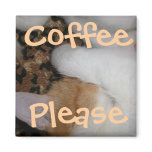 Sleeping Kitty Cat Sura Tulura magnets