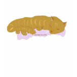 Sleeping Kitty t-shirts