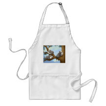 Sleeping Koala Apron