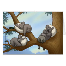 Sleeping Koala Card