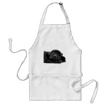 Sleeping Lab Apron