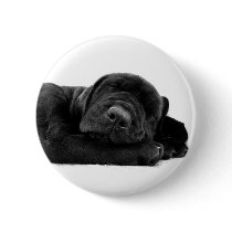 Sleeping Lab Button