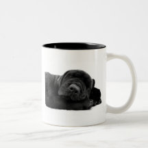 Sleeping Lab Coffee Mug