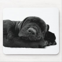 Sleeping Lab Mousepad