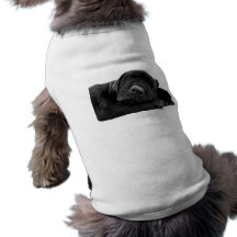 Sleeping Lab Pet Shirt