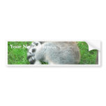 Sleeping Lemur On Grass bumper stickers