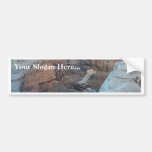 Sleeping Lemur On Grass Bumper Sticker