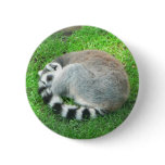 Sleeping Lemur On Grass buttons