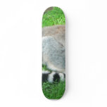 Sleeping Lemur On Grass Custom Skate Board