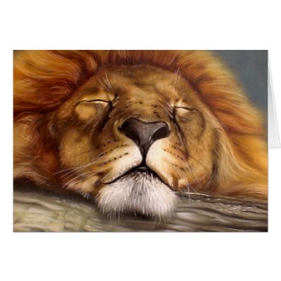 Sleeping Lion Greeting Cards by RainbowCards