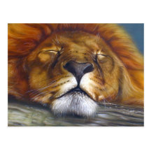 Sleeping Lion Post Card