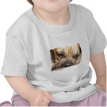 Sleeping Mastiff  Baby T-shirt