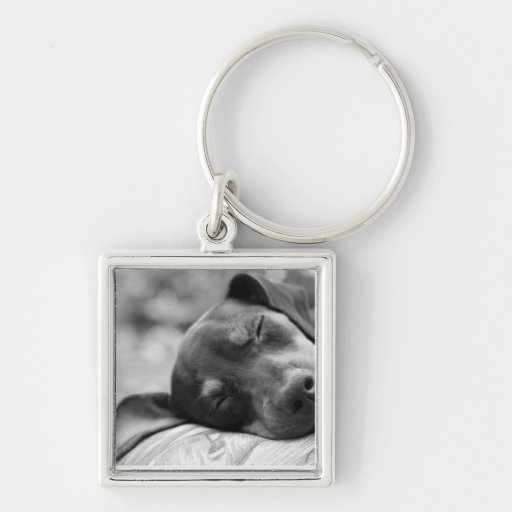 Sleeping Miniature Pinscher dog Key Chains