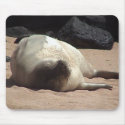 Sleeping Monk Seal 2 Mousepad