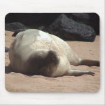 Sleeping Monk Seal 2 Mousepad